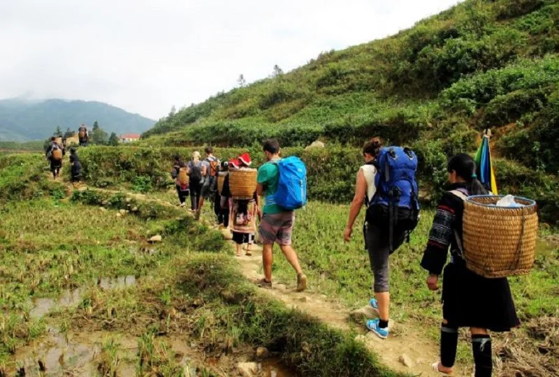 3-Day Sapa Trekking Tour: Y Linh Ho, Lao Chai, Ta Van, Ban Ho, Nam Tong, Thanh Phu & My Son